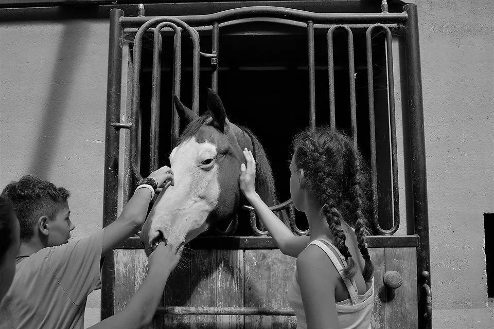 Agriturismo Fattoria Rozzalupi Cerreto Guidi Séjour à la ferme