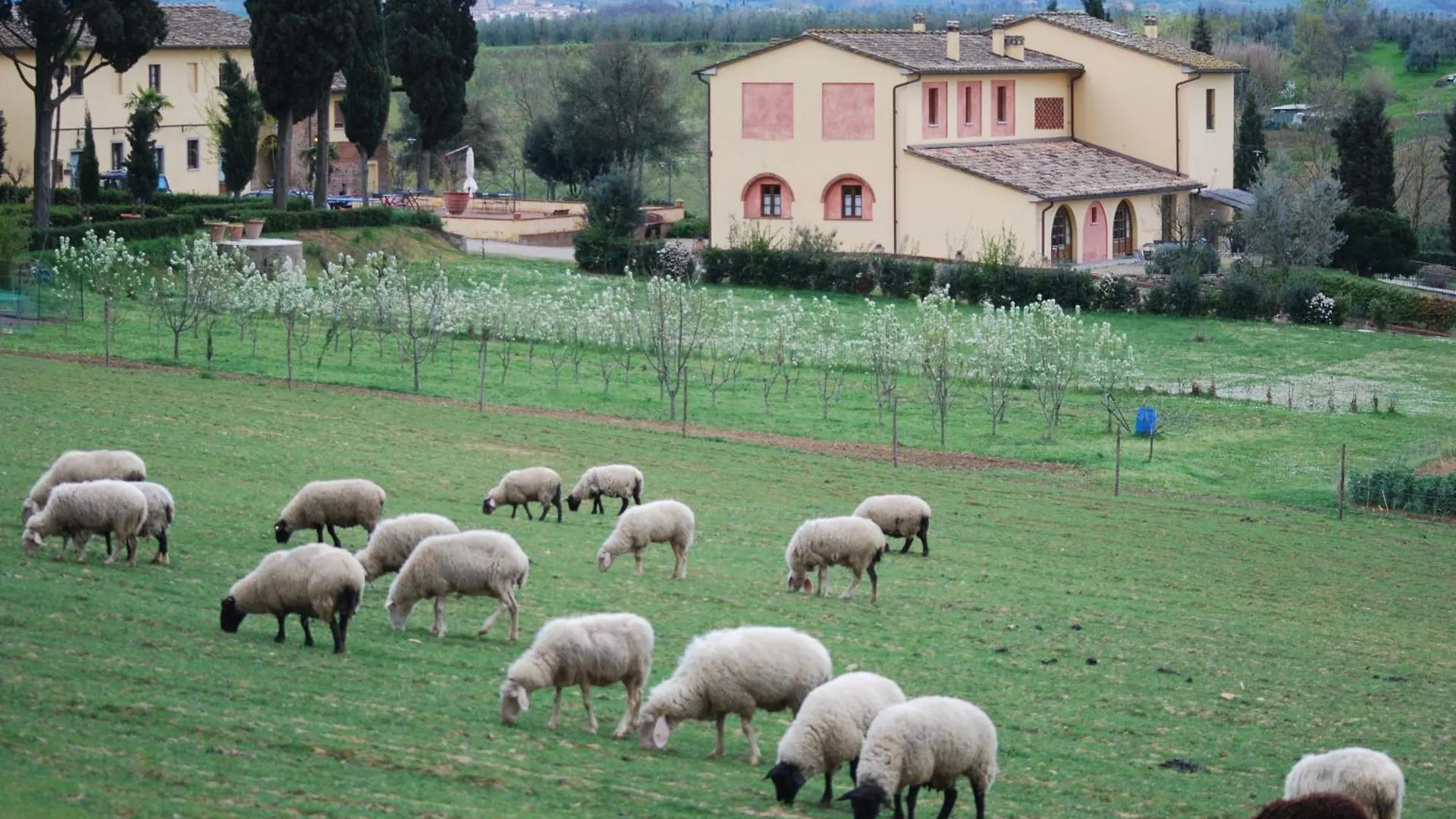 Agriturismo Fattoria Rozzalupi Cerreto Guidi Itálie