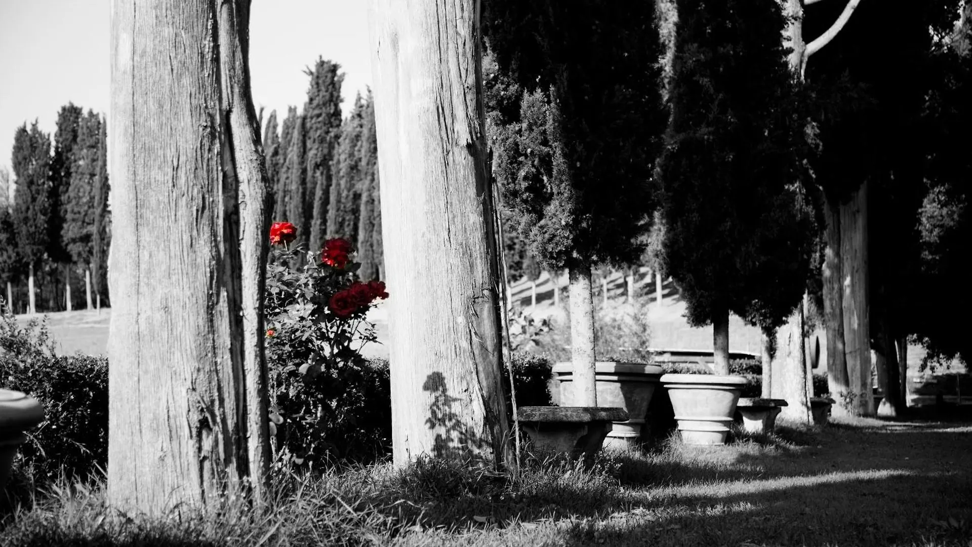 Agriturismo Fattoria Rozzalupi Cerreto Guidi