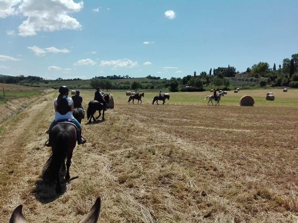 Farm stay Agriturismo Fattoria Rozzalupi Cerreto Guidi