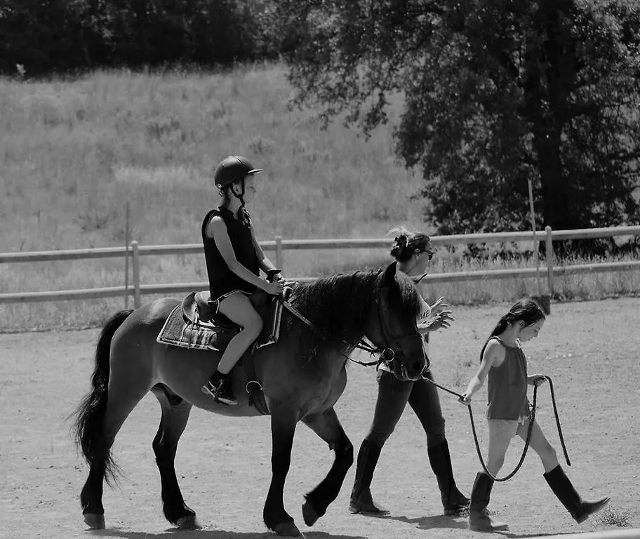 Agroturismo Agriturismo Fattoria Rozzalupi Cerreto Guidi